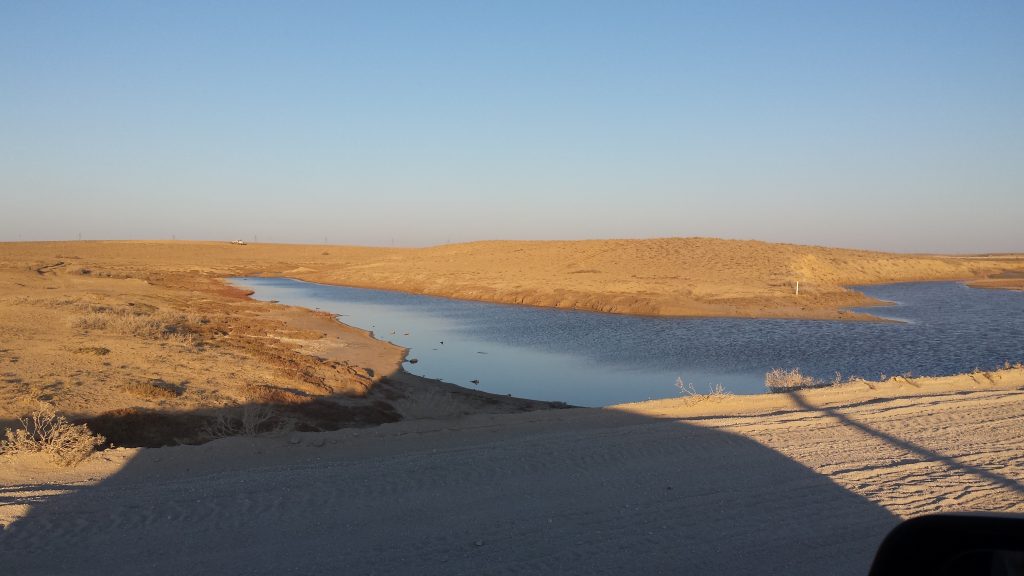 Water in Desert